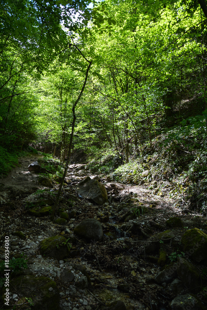 Rastenbachklamm, Südtirol, Italien