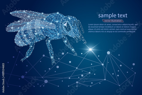bee abstract logo design. low poly frame. outer space and the starry sky. The concept of insects consists of lines, dots, triangles. Vector