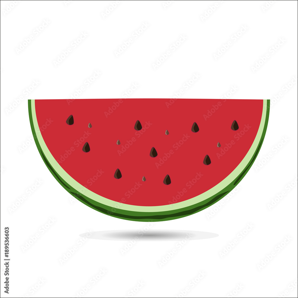 Summer Watermelon Slice Vector Illusration.