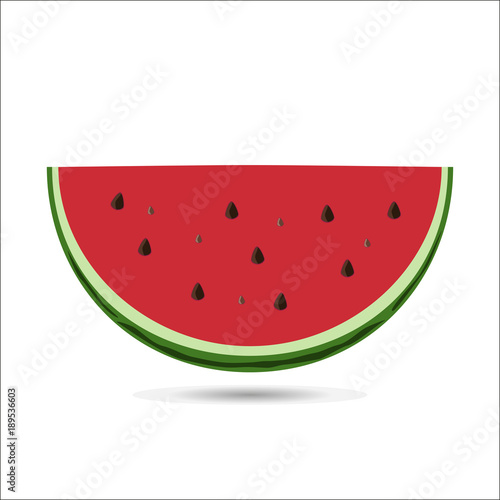 Summer Watermelon Slice Vector Illusration.