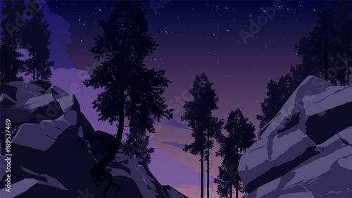 mountain forest landscape illustration