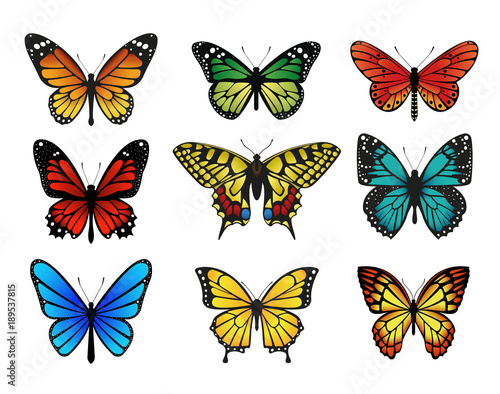 Colorful butterflies set. Vector illustration © warmworld