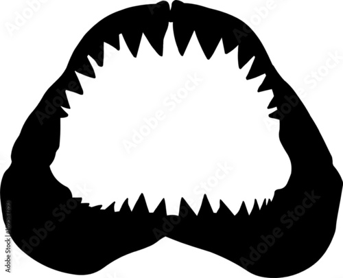 Shark Jawbone