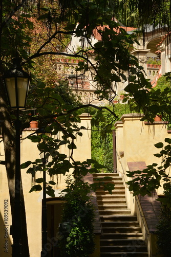 stairs to the garden