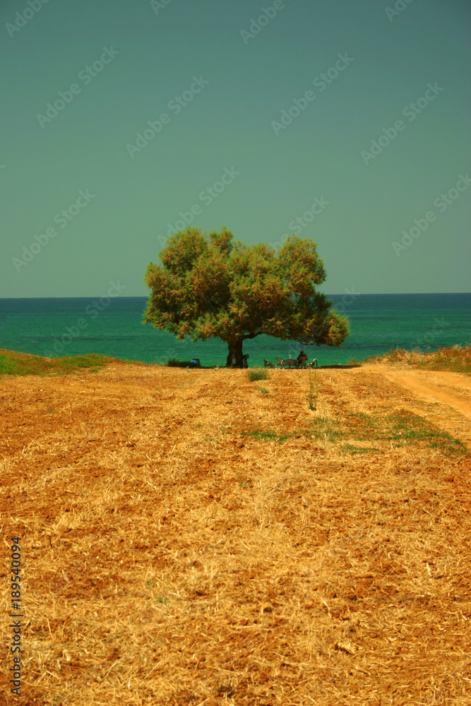 Crete Greece
