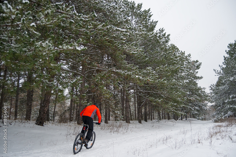 Cyclist in Red Riding Mountain Bike in Beautiful Winter Forest. Extreme Sport and Enduro Biking Concept.