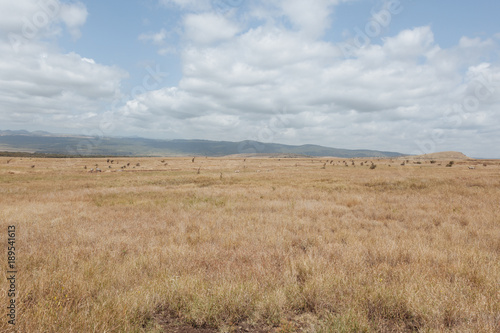 Landscape in Kenya 
