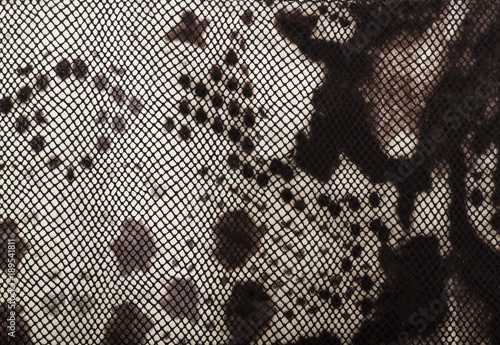 brown skin texture of a reptile; snake skin texture