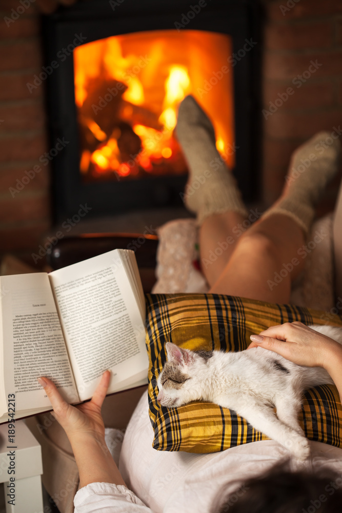 Fototapeta premium Woman reading by the fire - relaxing with her cat