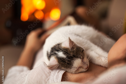 Fototapeta Naklejka Na Ścianę i Meble -  A purrfect evening - woman relaxing with her kitten