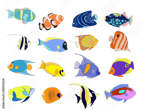 Hand drawn coral fish set isolated on white.