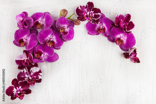 Fototapeta Naklejka Na Ścianę i Meble -  violet purple orchid flowers decorated on wood can be used as background with free space for your text