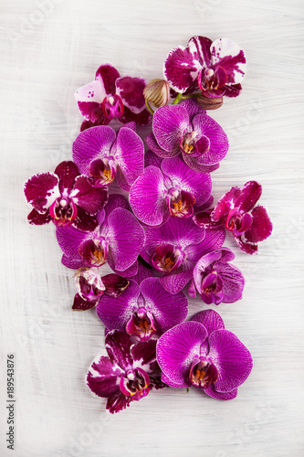 Fototapeta Naklejka Na Ścianę i Meble -  violet purple orchid flowers decorated on wood can be used as background with free space for your text