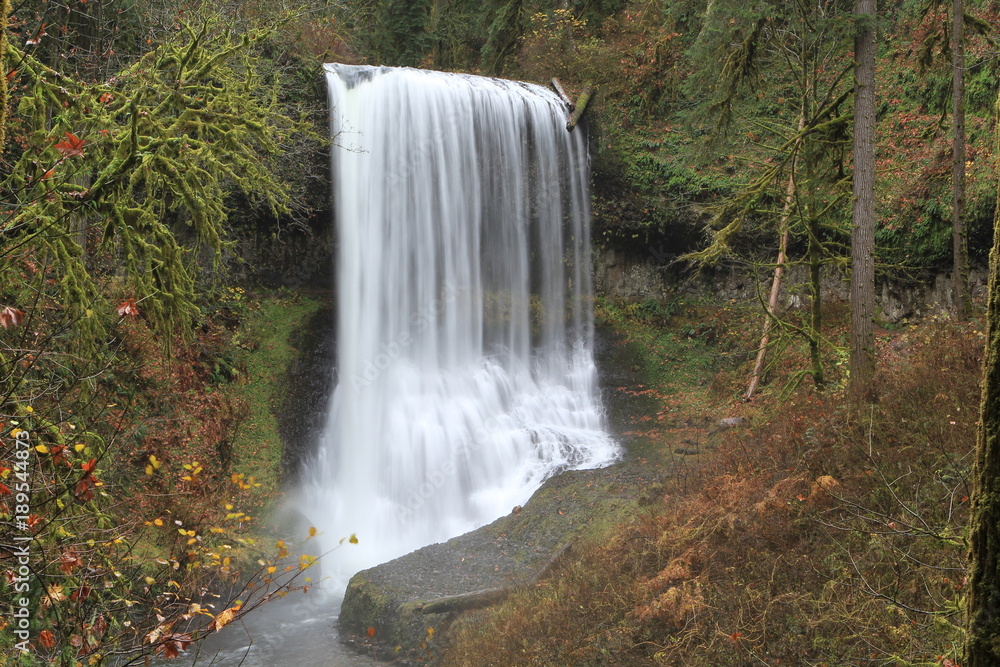 Fototapeta premium Cascading Falls 4