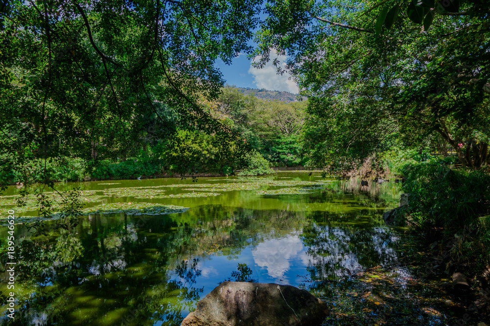 Beautiful view of artificial pond inside of the botanical greenhouse in Medellin