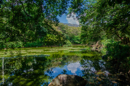 Beautiful view of artificial pond inside of the botanical greenhouse in Medellin © Fotos 593