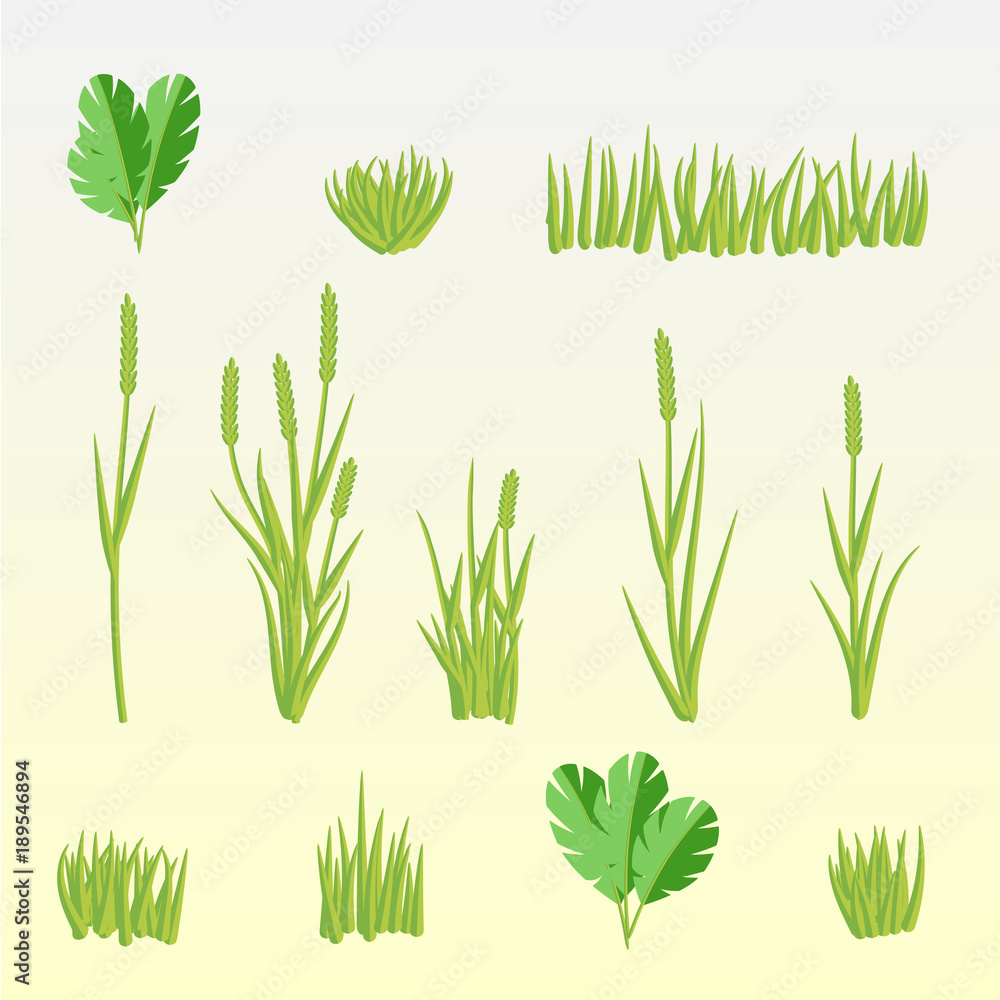 Green grass set vector