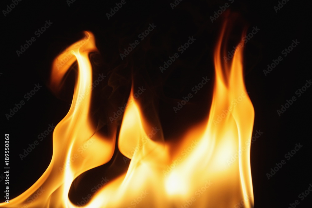Fototapeta premium fire burning dark