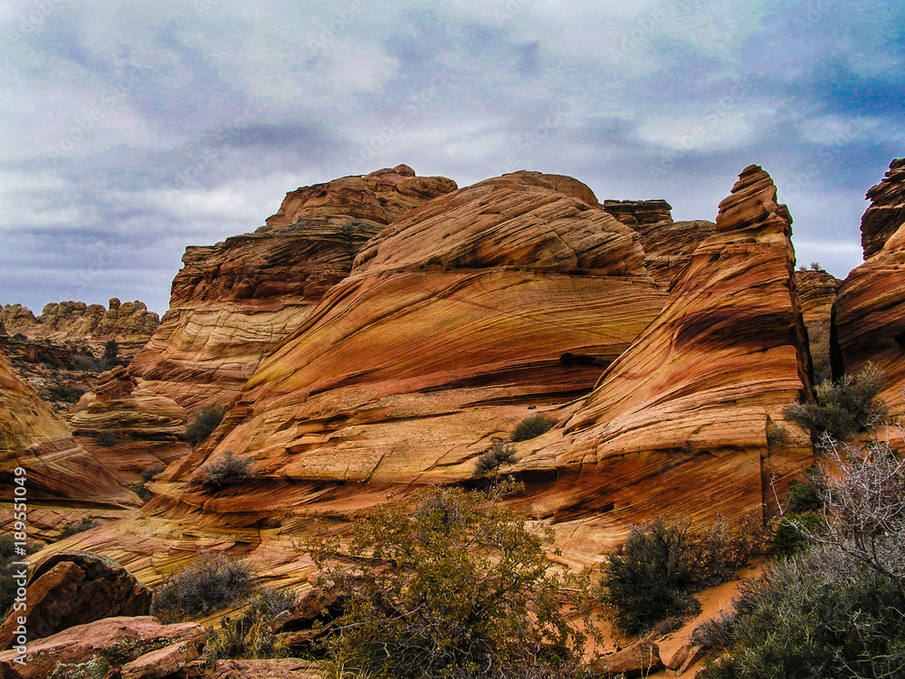 Fototapeta premium Cottonwood Cove S. Coyote Buttes Paria Canyon-Vermilion Cliffs Wilderness-Arizona