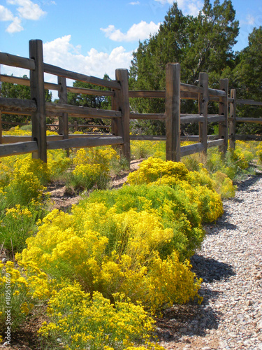 Yellow Fall Wildflowers Against Wooden Post Fence 