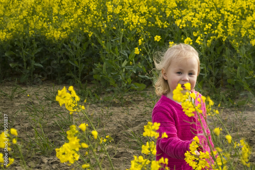 Portrait of a little girl in a field with rape