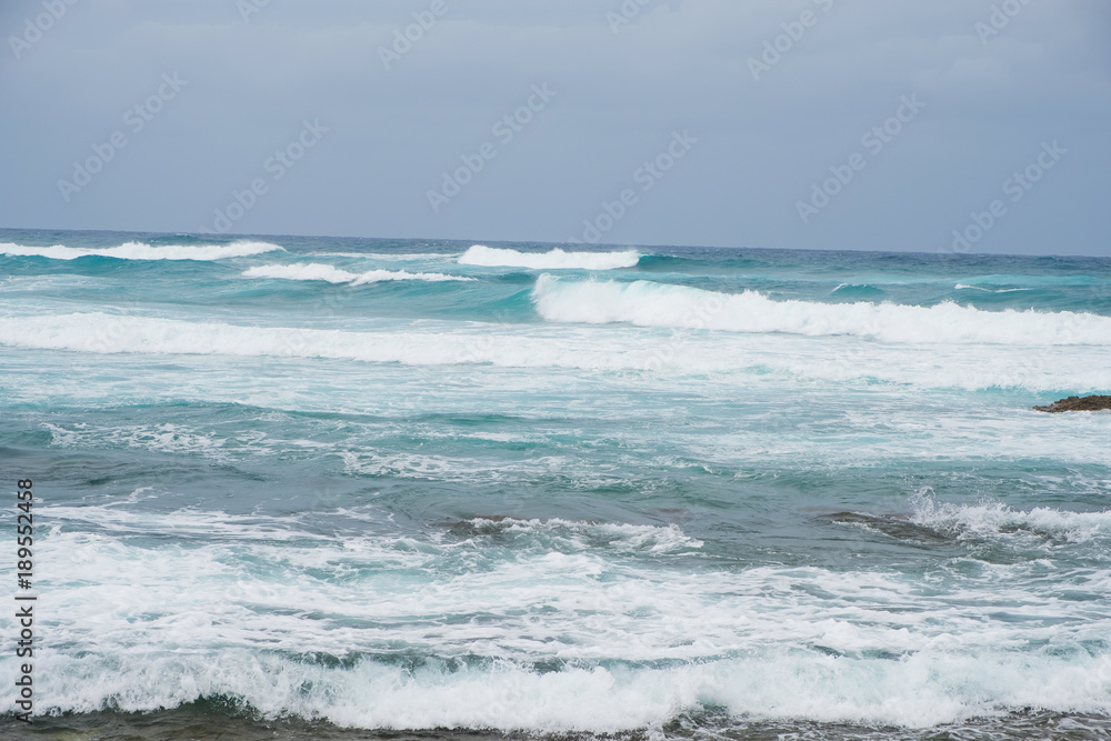 Fototapeta premium Turtle Bay Pacific Ocean Beach
