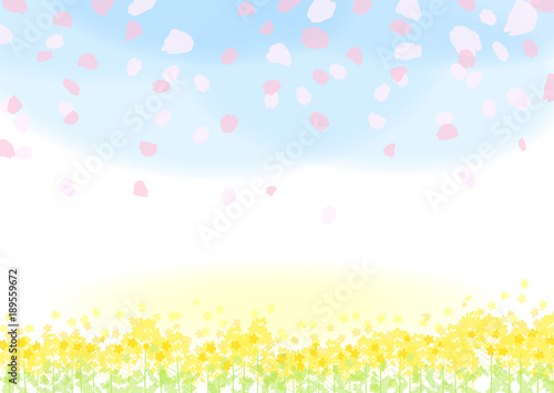 菜の花　桜