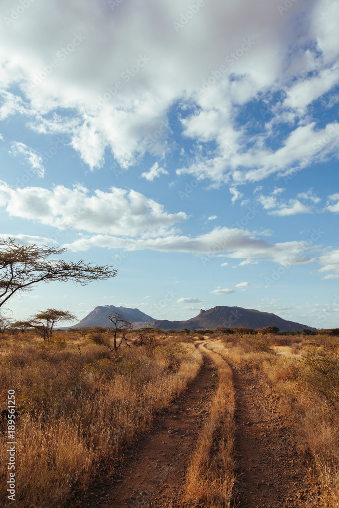 Naklejka premium Landscape in Kenya