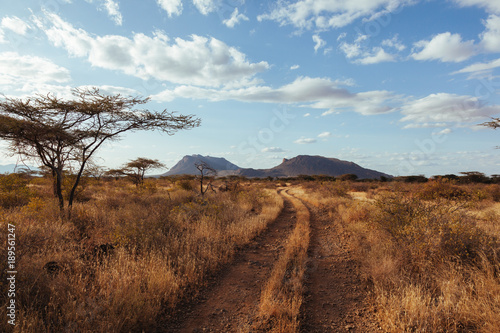 Landscape in Kenya photo