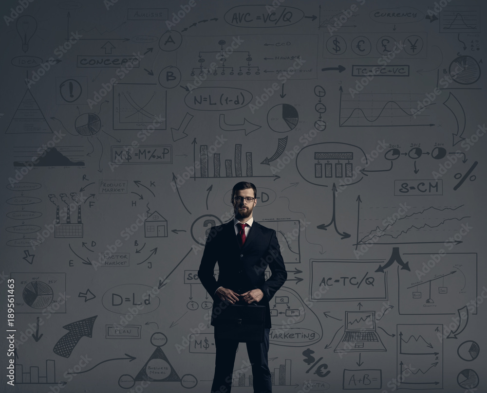 Businessman with briefcase. Business and office, concept. Businessman with briefcase. Business and office, concept.