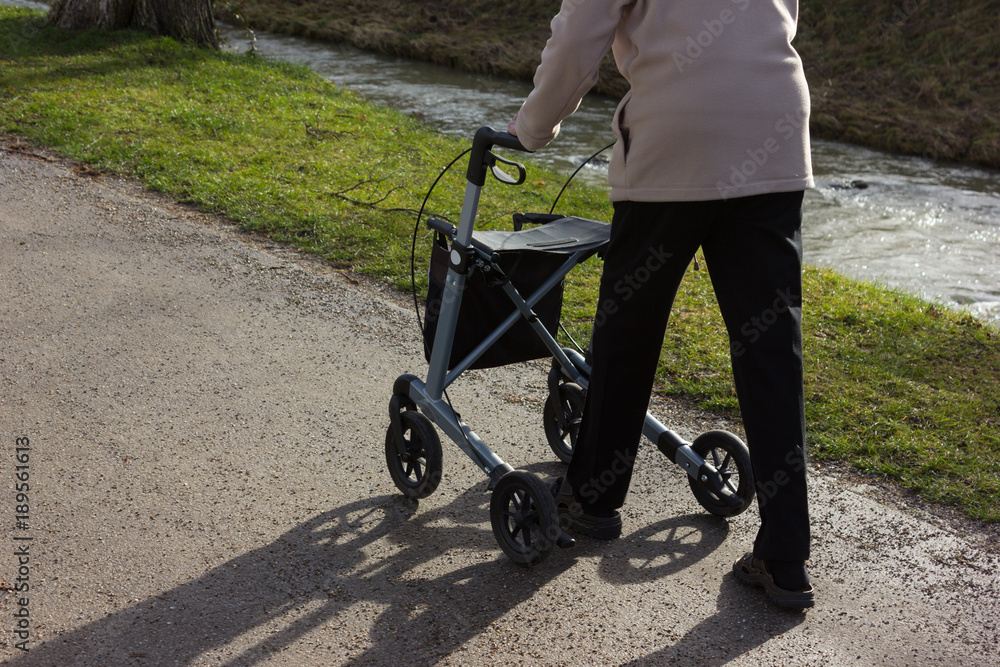 Obraz premium senior lady with rollator on sunny winter january afternoon