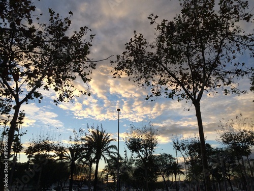 BCN