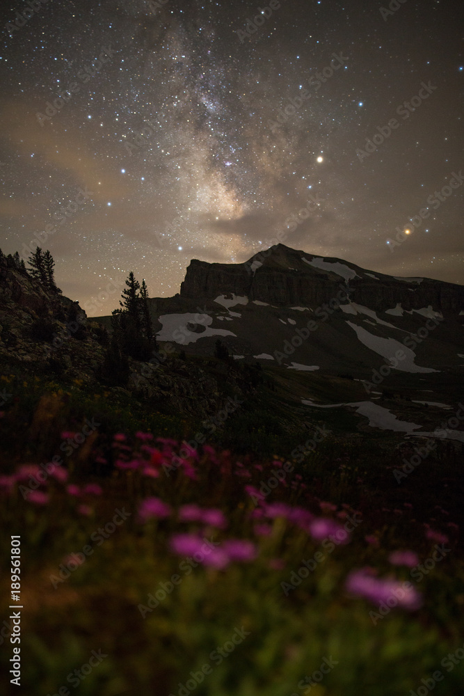 Milky Way and Wildflowers in Wyoming