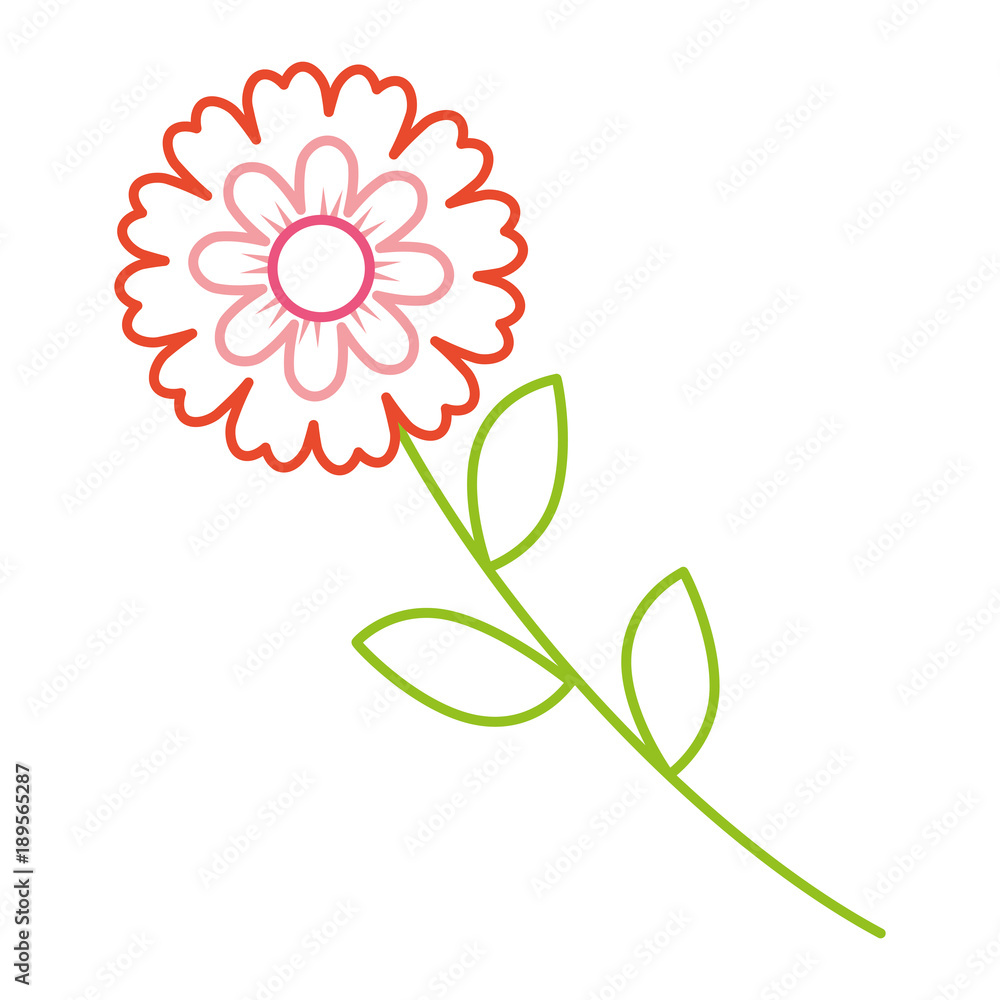Naklejka premium flower stem leaves nature petals decoration vector illustration color line design