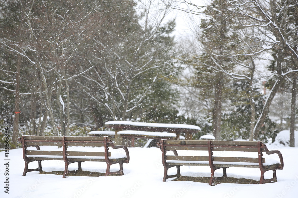 Winter park bench