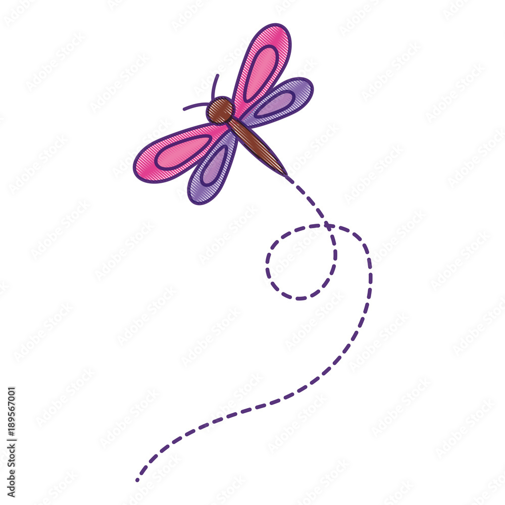 cute flying dragonfly natural animal vector illustration drawing design