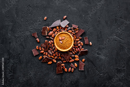 Chocolate and cacao concept. Cocoa powder in bowl near cocoa beans and broken chocolate on black background top view copy space © 9dreamstudio