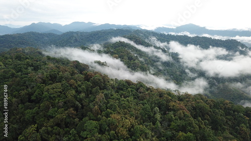 Rainforest. Rain forest mountains and clouds aerial landscape
