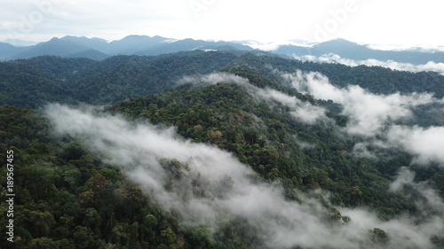 Rainforest. Rain forest mountains and clouds aerial landscape