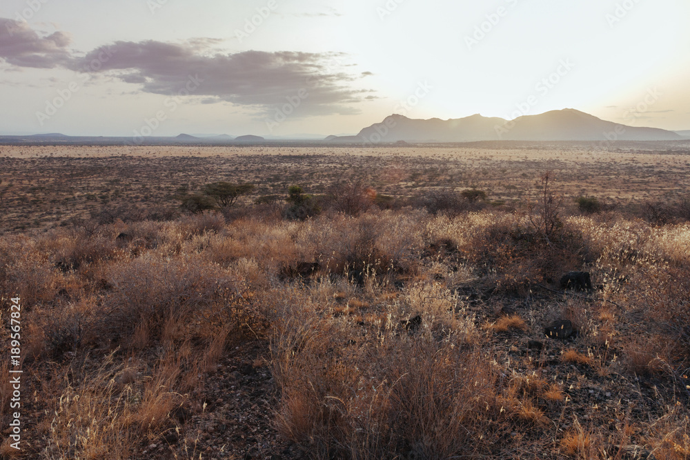 Fototapeta premium Landscape in Kenya