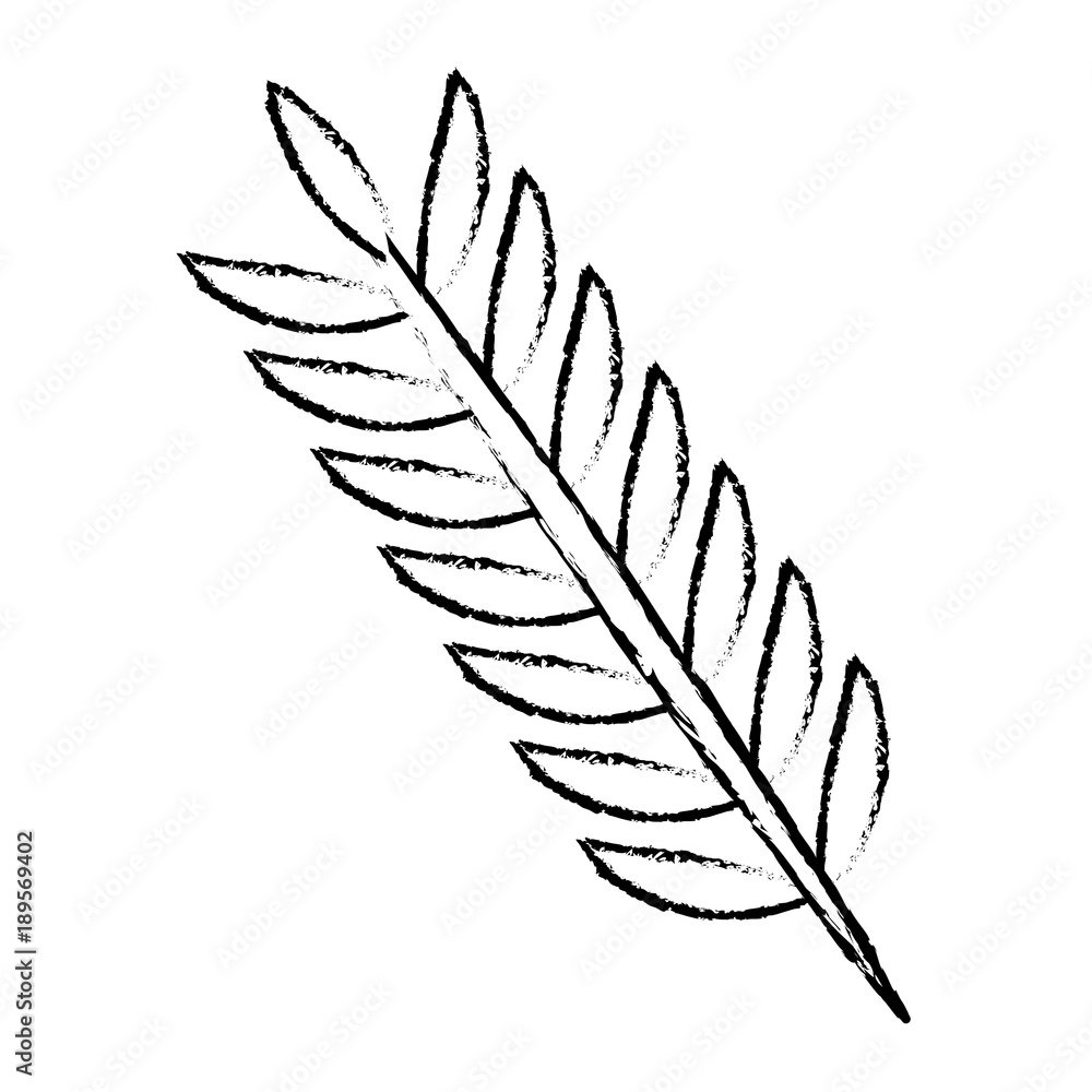 spring branch with leaves natural vector illustration sketch design spring branch with leaves natural vector illustration sketch design