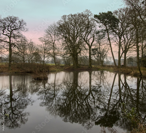 Winter sky, bare trees and reflections.