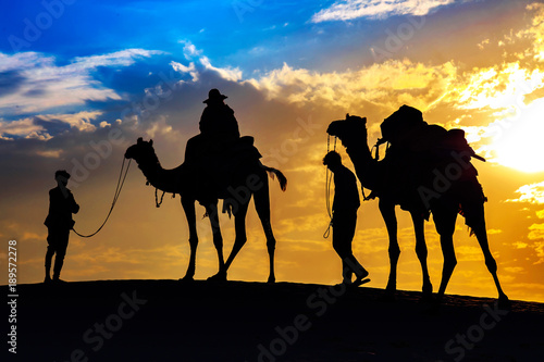 Camels with tourist in silhouette effect at desert sunset Jaisalmer Rajasthan.