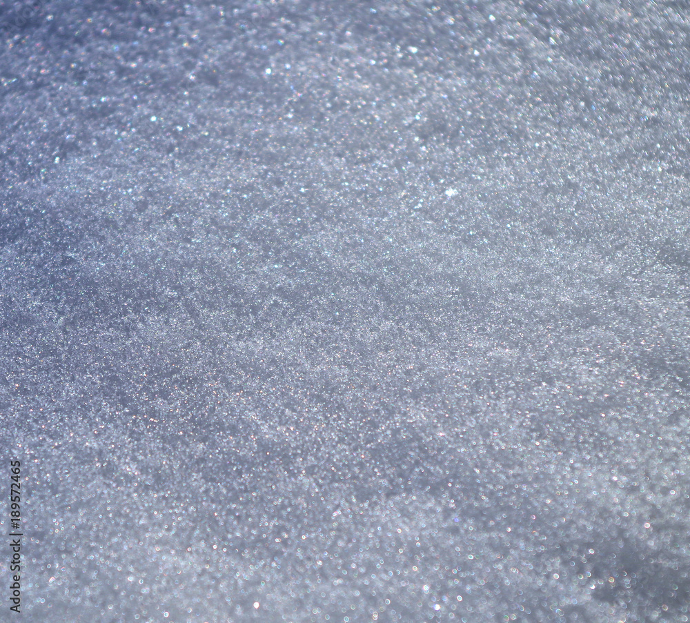 Fototapeta premium Snow Closeup