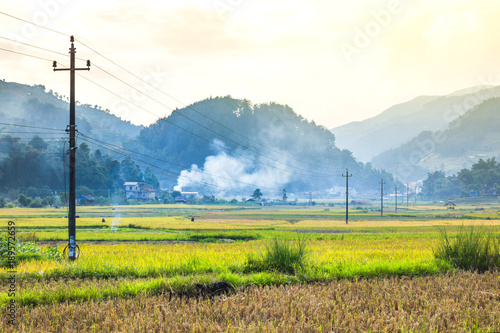 Rice fields on terraced of yellow green rice field landscape