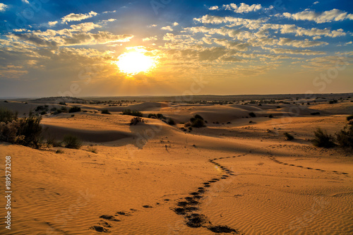 Scenic sunset view at Thar desert Jaisalmer  Rajasthan with vibrant moody sky and golden sand dunes.