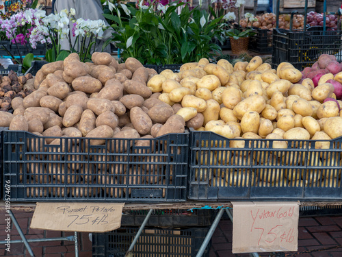 Yukon and russet potatoes on sale at farmer's market