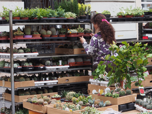 Young girl sells small plants and cacti in the street market