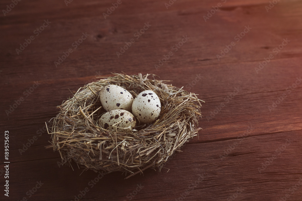 Quail eggs in a nest on a wooden background. The village concept. Glare effect added Quail eggs in a nest on a wooden background. The village concept. Glare effect added