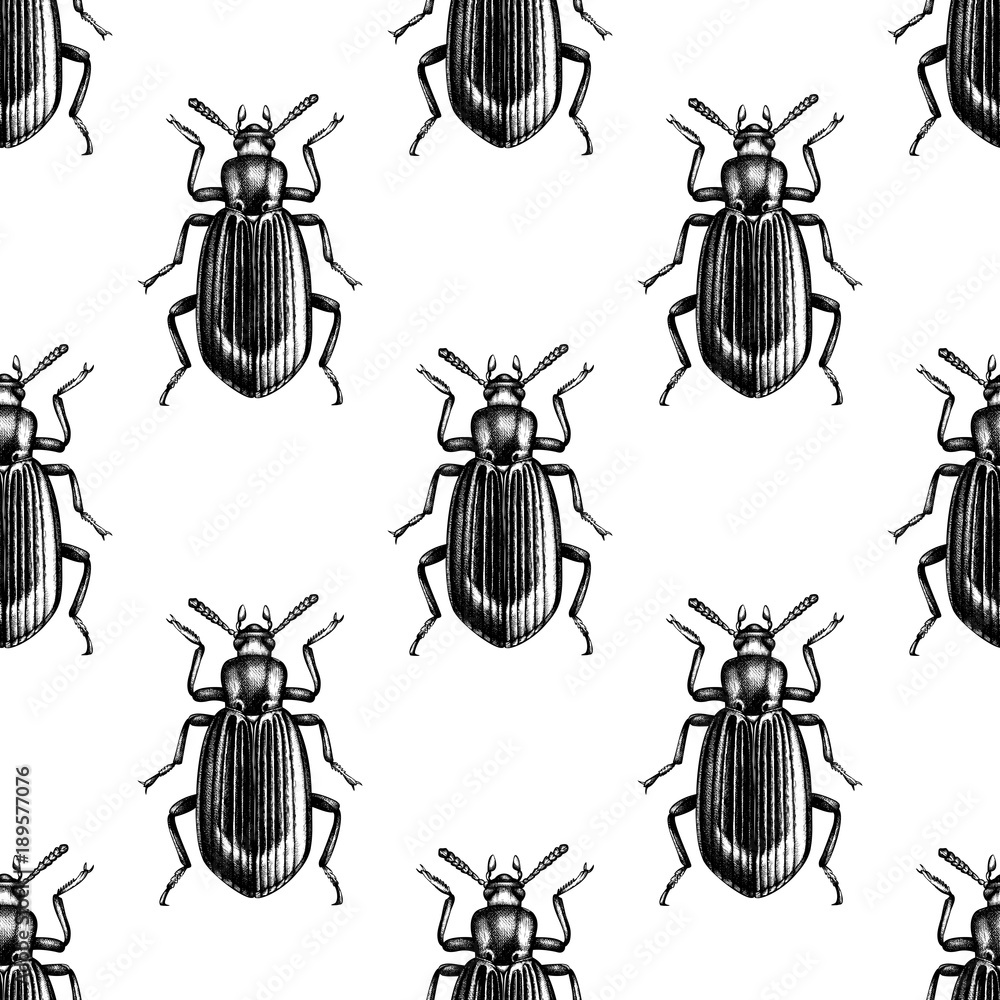 Darkling beetle seamless pattern. Black and gold bugs on white